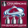 Trends International NHL Colorado Avalanche - 2022 Commemorative Stanley Cup Team Logo Wall Poster, 14.725" x 22.375", Black Framed Version view 1