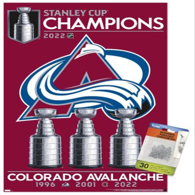 NHL Colorado Avalanche - 2022 Stanley Cup Team Logo Wall Poster with Push Pins