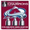 Trends International NHL Colorado Avalanche - 2022 Commemorative Stanley Cup Team Logo Wall Poster, 22.375" x 34", White Framed Version view 1