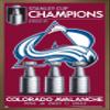 Trends International NHL Colorado Avalanche - 2022 Commemorative Stanley Cup Team Logo Wall Poster, 14.725" x 22.375", Bronze Framed Version view 1
