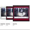 Colorado Avalanche, 2022 Stanley Cup Champions - 40.25x13.75-inch NHL Standard Framed Print by Blakeway Panoramas view 2