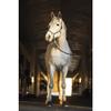 Dover Saddlery Rubber Hook-and-Loop Bell Boots, Color: White, Size: Small view 3