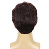 DDHAIR Mens Short Brown Wig Layered Natural Fluffy Synthetic Wigs for Halloween Cosplay Male Man Hair(Dark Brown,6 Inch) view 3