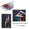 ZSHJGJR 50pcs 3" 4" 5 Shield Cut Archery Fletches Arrow Feathers Turkey Feather Right/Left Wing for DIY Hunting Arrows Accessories (Right Wing, Black, 3 Inch) view 4