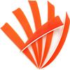 ZSHJGJR 50pcs 3" 4" 5 Shield Cut Archery Fletches Arrow Feathers Turkey Feather Right/Left Wing for DIY Hunting Arrows Accessories (Right Wing, Orange, 4 Inch) view 2