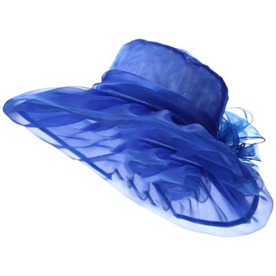 BCDlily Derby Hats for Women, Women's Organza Church Hats Lady Cocktail Tea Party Church Wedding Bridal Flower Hat Light Blue
