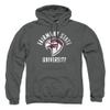 Fairmont State University Official Falcons Logo Unisex Adult Pull-Over Hoodie,Charcoal, Medium view 1