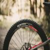 Goodyear Bike - Newton MTR Trail Tubeless Complete 29x2.4/61-622 Blk - Bicycle Tire view 4