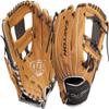 Easton | FUTURE ELITE Baseball Glove | 11" | I-Web | Right Hand Throw | Tan/Black view 1