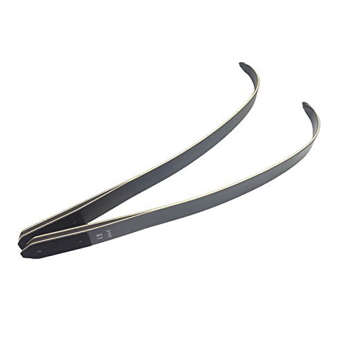 ZSHJGJR Archery Black Hunter Recurve Bow Limbs Original Replacement Bow Limbs 25-65lbs Right/Left Hand (45lbs, Right Hand)