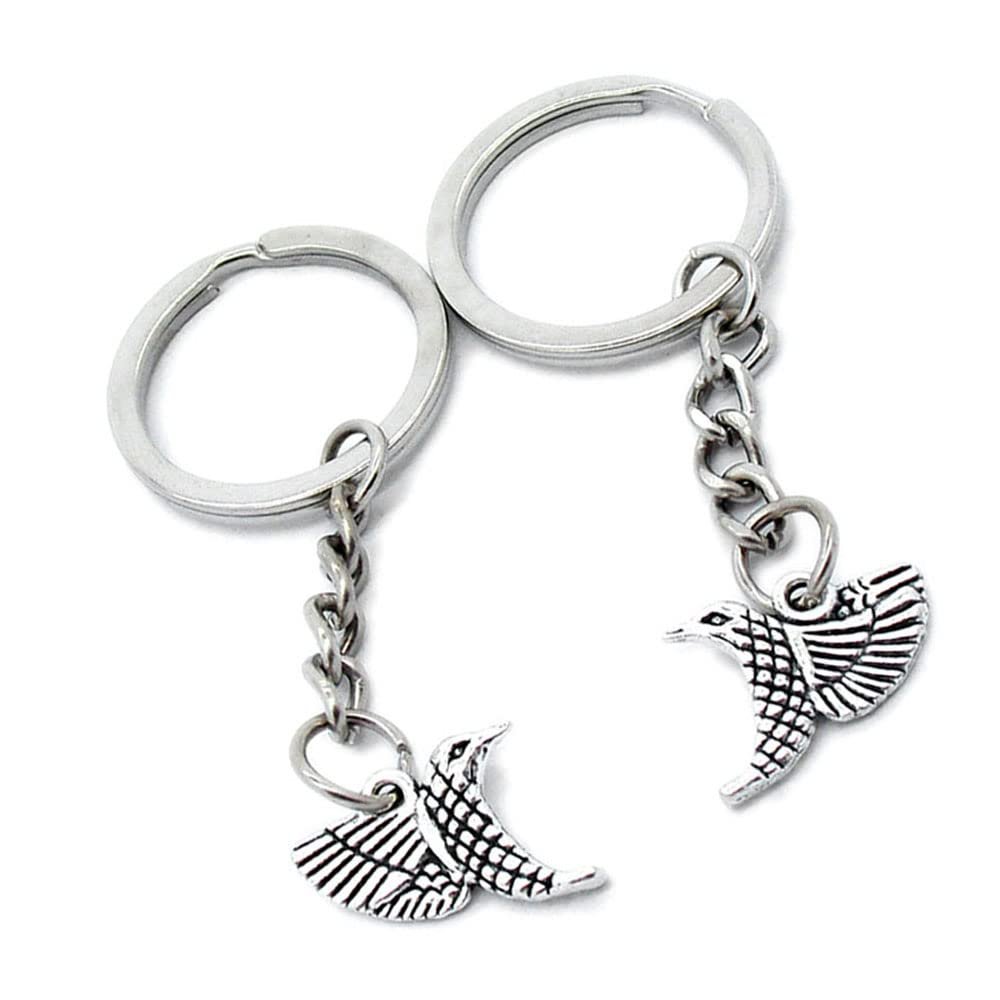10 Pieces Keychain Keyring Door Car Key Chain Ring Tag Charms Supplies H0BB4T Hummingbird Bird