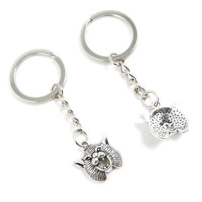 10 Pieces Keychain Keyring Door Car Key Chain Ring Tag Charms Supplies X2CY5M Lion Mask
