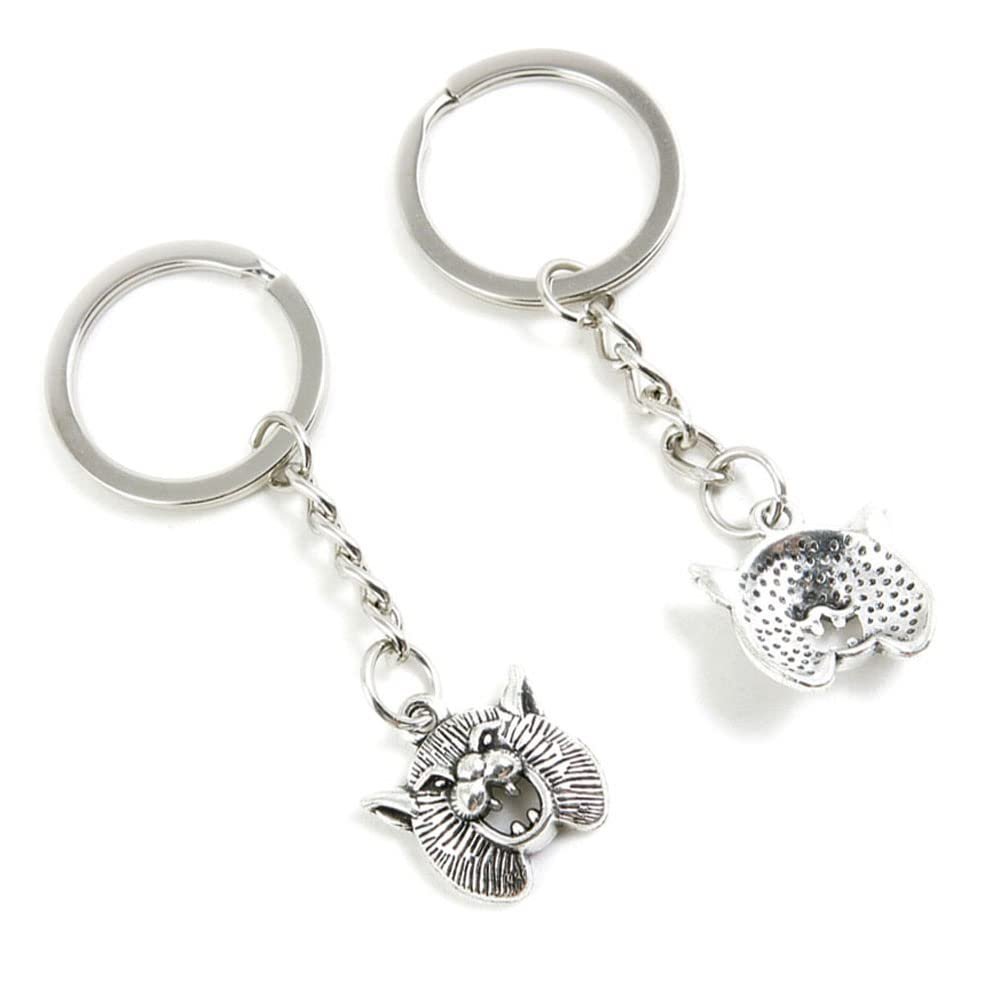 10 Pieces Keychain Keyring Door Car Key Chain Ring Tag Charms Supplies X2CY5M Lion Mask