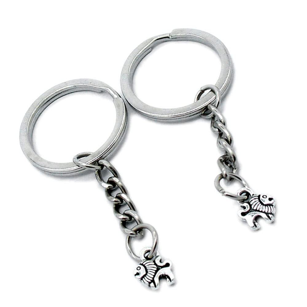 5 Pieces Keychain Keyring Door Car Key Chain Ring Tag Charms Supplies L6WP2Y Lion King Leo
