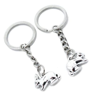 5 Pieces Keychain Keyring Door Car Key Chain Ring Tag Charms Supplies Y2JB9C Rabbit Hare Easter