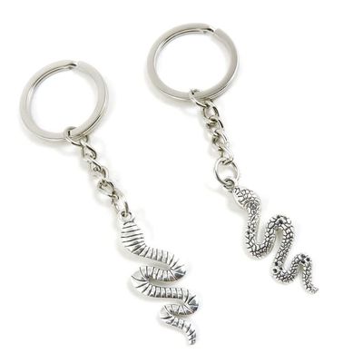 5 Pieces Keychain Keyring Door Car Key Chain Ring Tag Charms Supplies B5YO8Y Snake