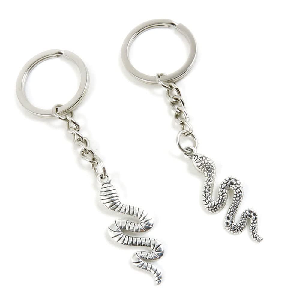 5 Pieces Keychain Keyring Door Car Key Chain Ring Tag Charms Supplies B5YO8Y Snake