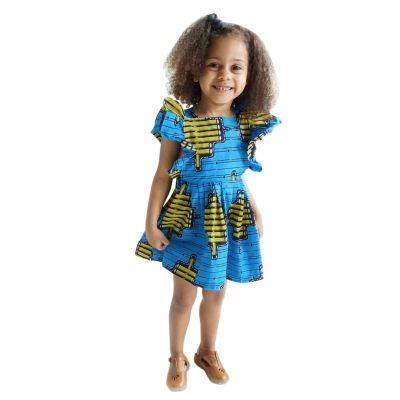 Little Girls Sleeveless Dresses Summer Casual Baby Dress Swing Skater Summer Dress Summer Outfit Sunflower Dresses (Blue, 2-3 Years)