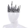 Yilistore Adult Royal King Crown,Ancient Prince Crown for Halloween Cosplay (Silver) view 1