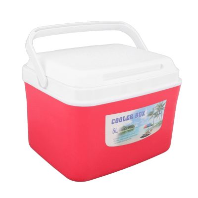 Asixxsix Portable Cooler Box, 5L 10.6 X 9.1 X 7.9in Constant Temp Long Lasting Cooler and Warmer with Handle Multifunctional Ice Cooler with 5 Ice Bags for Lunch, Drinks, Fruits,