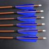 ZSHJGJR 31" Archery Carbon Arrows Spine 340 400 500 600 Hunting Arrows with Removable Tips Natural Feather Targeting Arrows for Compound & Recurve & Traditional Bow 6/12pcs (12, Blue, Spine 340) view 2