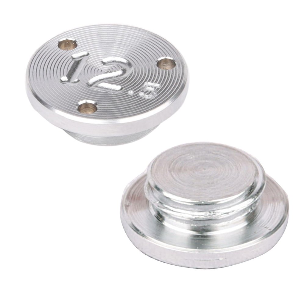 2pcs Golf Weights Compatible with Taylormade TP Collection, Spider Mini, Spider FCG, Truss Putters (2x12.5g)