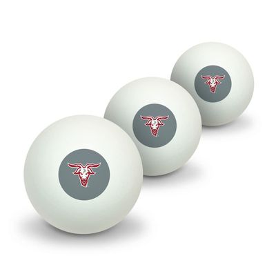 GRAPHICS & MORE WPI Secondary Logo Novelty Table Tennis Ping Pong Ball 3 Pack