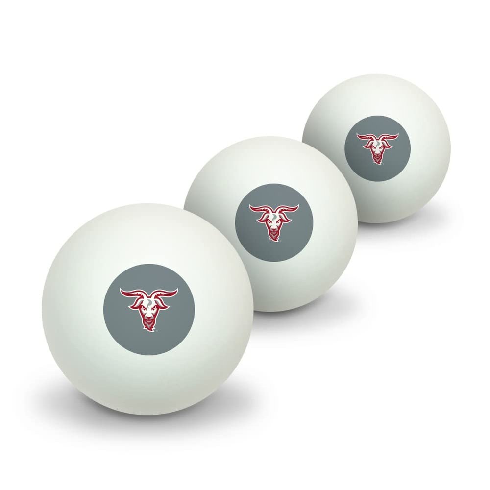 GRAPHICS & MORE WPI Secondary Logo Novelty Table Tennis Ping Pong Ball 3 Pack