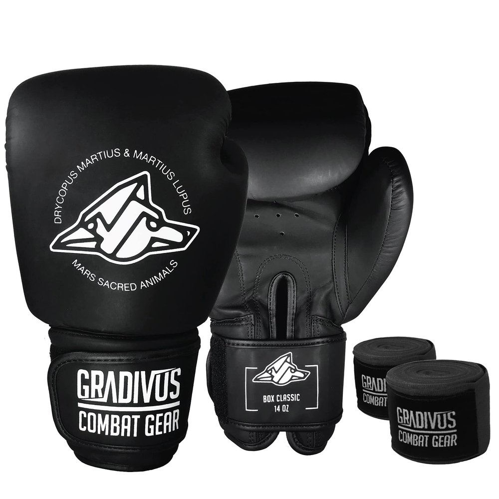 Classic Series Boxing Gloves (Black, 16oz)