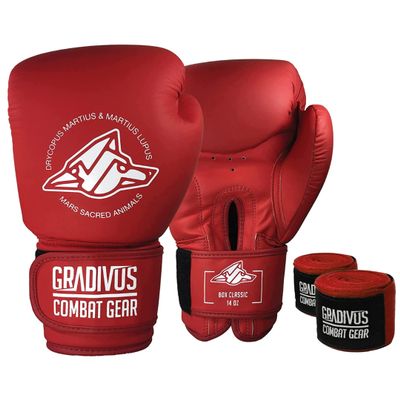 Classic Series Boxing Gloves (12oz, Red)