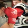 Classic Series Boxing Gloves (Red, 14oz) view 2