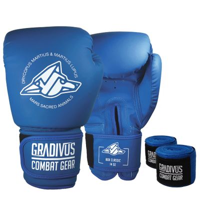 Classic Series Boxing Gloves (Blue, 14oz)