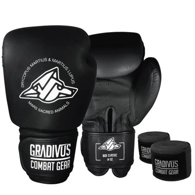 Classic Series Boxing Gloves (12oz, Black)