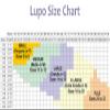 Loba Slim Lupo Women's Capri Pantyhose Shaper Slimmer Corsario (Small) Natural view 2