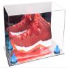 Better Display Cases Acrylic Large Shoe Display Case for Basketball Shoe Soccer Cleat Football Cleat with Mirror Case, Light Blue Risers and Mirror Base (V11/A013) view 1