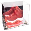 Better Display Cases Acrylic Large Shoe Display Case for Basketball Shoe Soccer Cleat Football Cleat with Mirror Case, Gold Risers and Mirror Base (V11/A013) view 1