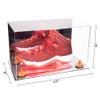 Better Display Cases Acrylic Large Shoe Display Case for Basketball Shoe Soccer Cleat Football Cleat with Mirror Case, Orange Risers and Mirror Base (V11/A013) view 2