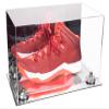 Better Display Cases Acrylic Large Shoe Display Case for Basketball Shoe Soccer Cleat Football Cleat with Mirror Case, Silver Risers and Mirror Base (V11/A013) view 1