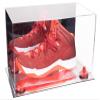 Better Display Cases Acrylic Large Shoe Display Case for Basketball Shoe Soccer Cleat Football Cleat with Mirror Case, Red Risers and Mirror Base (V11/A013) view 1