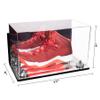 Better Display Cases Acrylic Large Shoe Display Case for Basketball Shoe Soccer Cleat Football Cleat with Mirror Case, Silver Risers, Wall Mount and Mirror Base (V11/A013) view 2