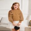 Arshiner Girls Puff Long Sleeve Sweaters Crewneck Lace Polka Dot Casual Knit Tops Pullover Jumper Outwear for Kids Brown view 2