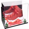 Better Display Cases Acrylic Large Shoe Display Case for Basketball Shoe Soccer Cleat Football Cleat with Mirror Case, Green Risers, Wall Mount and Mirror Base (V11/A013) view 1