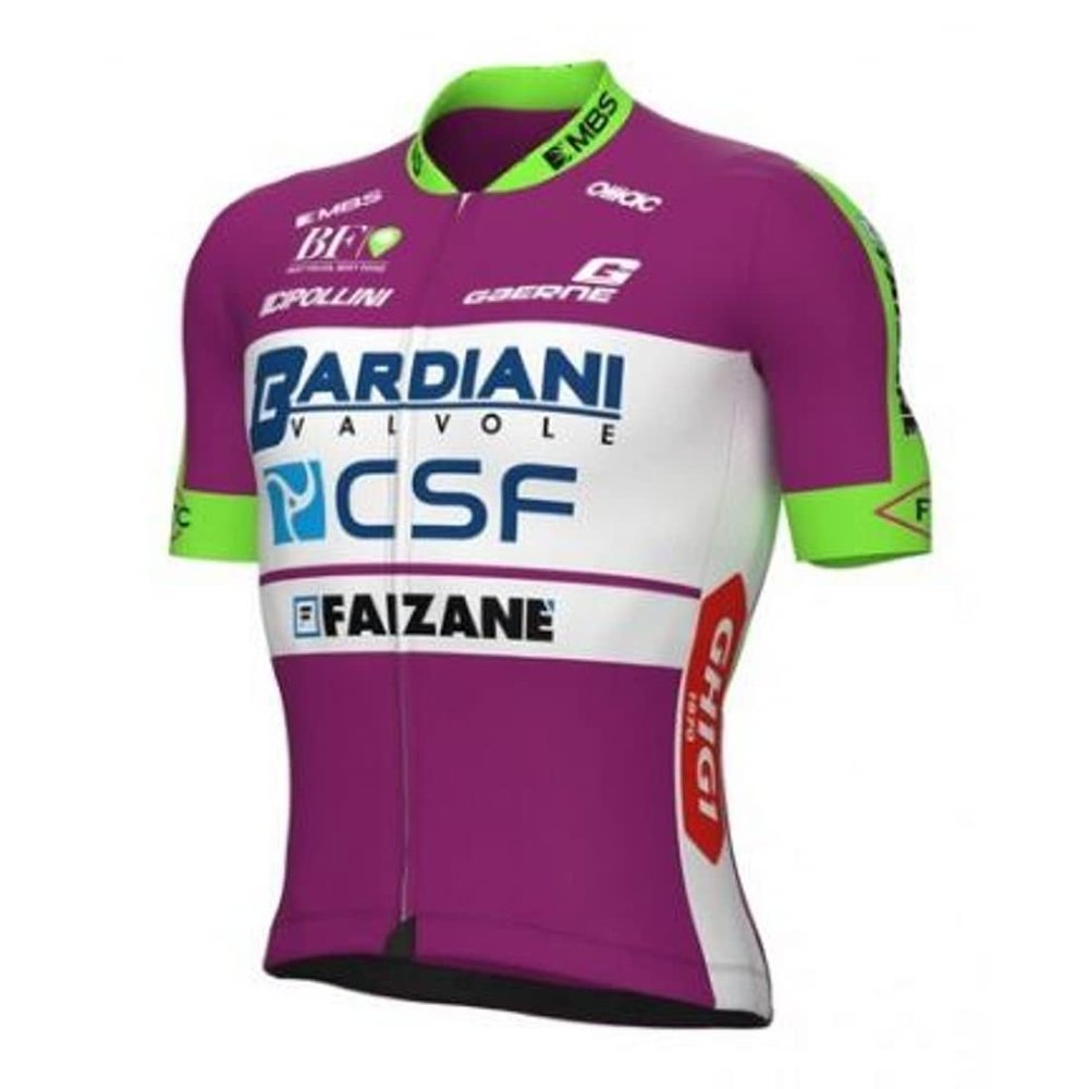 2022 Pro Team Bardiani Cycling Jersey for Men,Short Sleeve Quick Dry Bike Shirt (L)