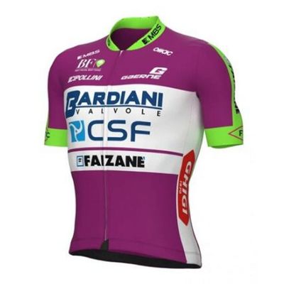 2022 Pro Team Bardiani Cycling Jersey for Men,Short Sleeve Quick Dry Bike Shirt (2XL)