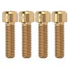 4Pcs M6 X 20mm Disc Brake Clamp Bolt, Alloy Disc Brake Fixed Screw for Moutain,Road Bike(Gold) view 1