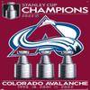 NHL Colorado Avalanche - 2022 Stanley Cup Team Logo Wall Poster with Push Pins view 4