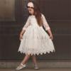 Clothes Party Toddler Kids Princess Pageant Baby Bowknot Dresses Flower Girls Lace Dress Girls Skater (White, 4-5 Years) view 2