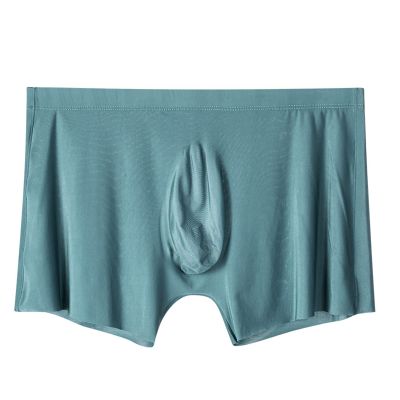 2Pcs Men Panties Mens Ice Silk Seamless Underwear Ultra-Thin Breathable Boxer Shorts for Male Underpants Boxershorts,Blue,XXL