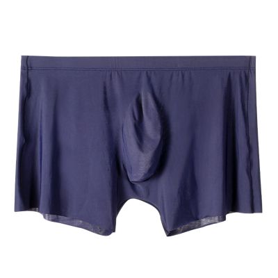 2Pcs Men Panties Mens Ice Silk Seamless Underwear Ultra-Thin Breathable Boxer Shorts for Male Underpants Boxershorts,Dark Blue,L