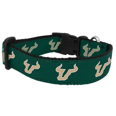 College Dog Collar (Medium, South Florida)